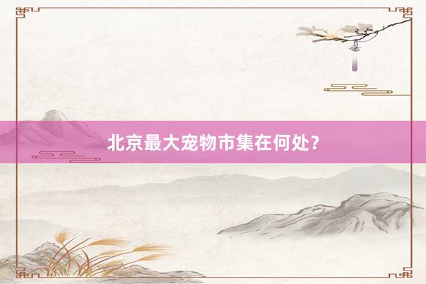 北京最大宠物市集在何处?